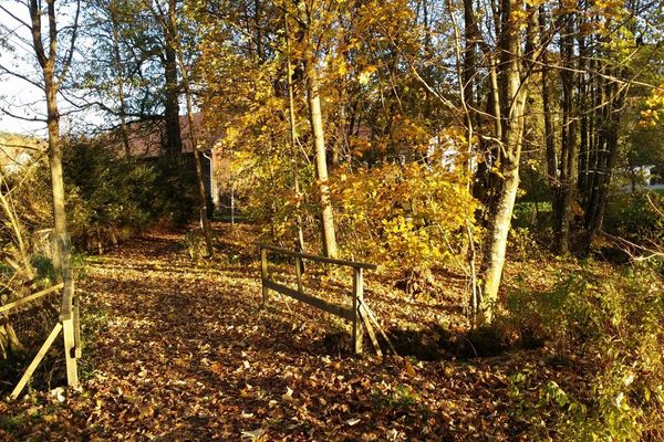 Eine von Herbstlaub bedeckte Holzbrücke führt über einen Bach. Die Laubbäume links und rechts sind ebenso herbstlich bunt gefärbt. Einige Gebäude stehen verdeckt im Hintergrund.