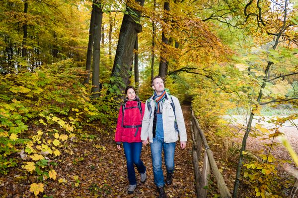 Zwei Wanderer die durch einen herbstlichen Wald laufen