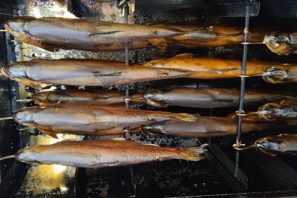 In einem Räucherofen hängen Fische.