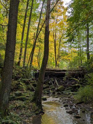 Der Mühlenweg eine Reise in die „kleine Fränkische Schweiz“