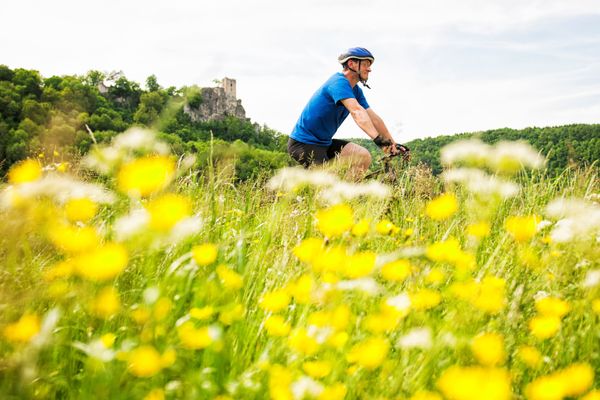 Ein Radfahrer hinter einem gelben Rapsfeld.