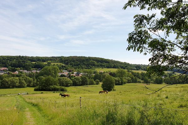 Unterwegs auf dem Rundwanderweg HeinzemannTour führt der Weg durch Waldgebiete, vorbei an Teichen, Feldern und Wiesen zum Geotop Heinzemann. Der Basaltriese, der an den Kopf des Heinzemannes erinnert, ist Namensgeber des Wanderweges.