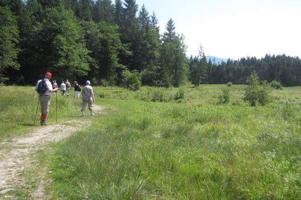 Auf der Haselbachrunde in Bad Bayersoien
