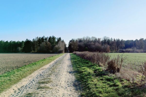 Ein sandiger Feldweg verläuft zwischen Niendorf I und dem Sirachsberg nahe Bad Bevensen. Die Route führt durch eine offene Kulturlandschaft mit weiten Feldern, Knicks und Waldrand. Die schnurgerade Linienführung lässt auf eine ältere Wegestruktur schließen – vielleicht wurde dieser Weg bereits in früheren Jahrhunderten genutzt. Heute lädt er zur stillen Erkundung der Natur ein.