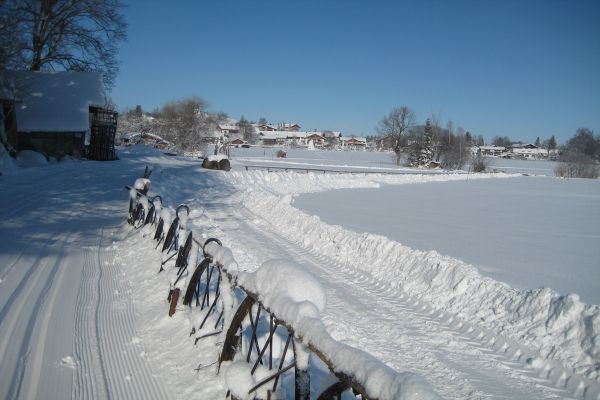 Winter hike - Geizenmoos