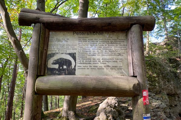 Von Holzstämmen eingefasstes Informationsschild im Wald