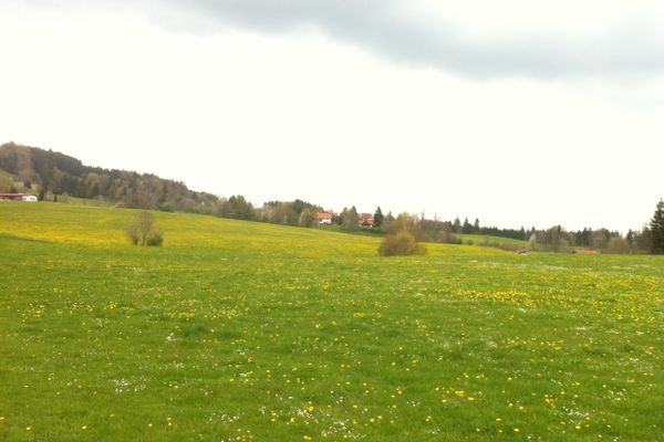 Weitblick auf das Weiler Leithen
