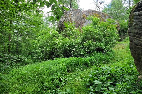 Ruine Rotenhan