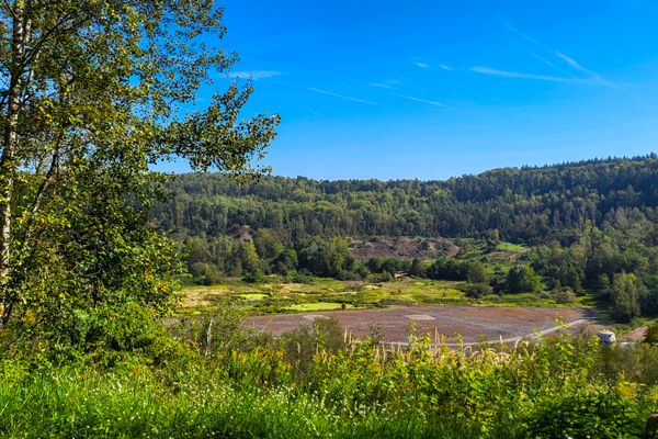 Blick in die Grube Messel, mit Sträuchern bewachsene Grube unter blauem Himmel.