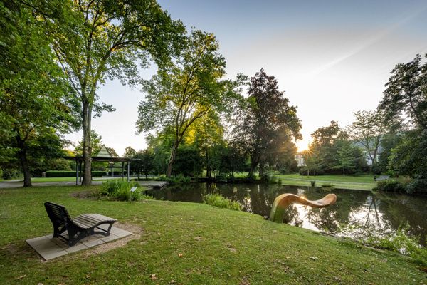 Bild des Datensatzes Stadtpark Mosbach