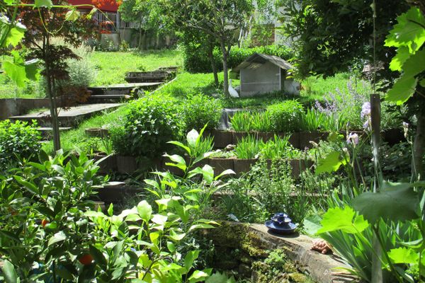 Garten