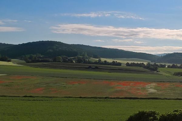 Landschaft
