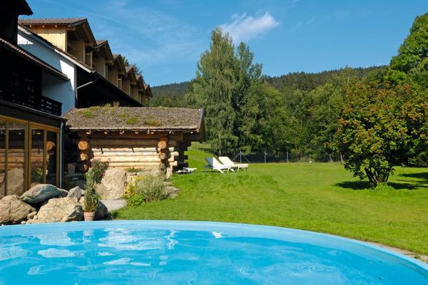 Der Swimmingpool liegt in einer teils von Bäumen beschatteten Liegewiese. Vor der Holzblocksauna sind Liegen aufgestellt. Hinter der gepflegten Liegewiese beginnt der Wald.