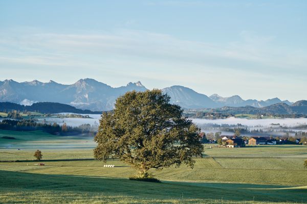 Steingaden im Herbst mit Blick auf die Alpen