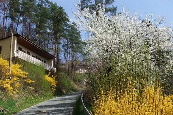 Hausansicht Frühling