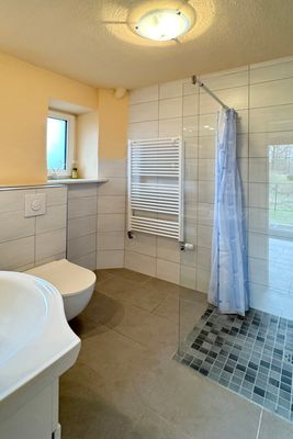 Das Bild zeigt ein modernes Badezimmer mit einer Toilette, einem Waschbecken und einer begehbaren Dusche mit Glaswand und Duschvorhang. An der Wand hängt ein Handtuchheizkörper. Die Wände sind hell gefliest, der Boden hat dunklere Fliesen. Ein kleines Fenster lässt Tageslicht herein.