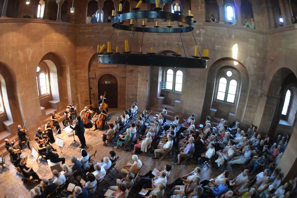 Bild des Datensatzes Saxophone & Strings | Trifelsserenade