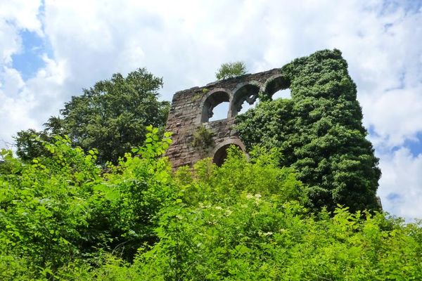 Ruine Wildenberg