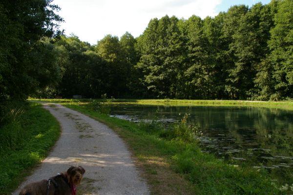 Kleine Runde