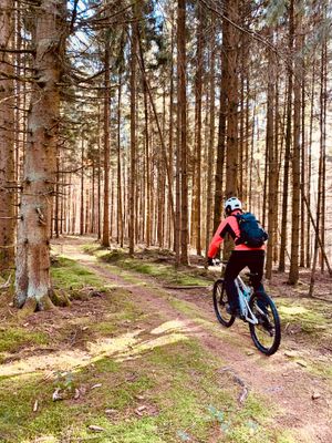Mountainbiking im Odenwald