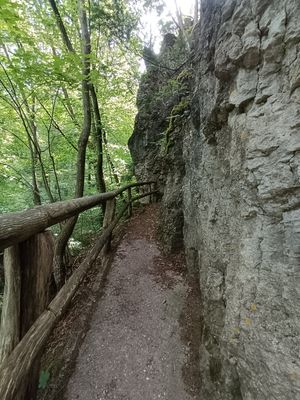 #1 Ultratrail Fränkische Schweiz