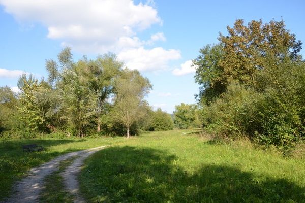 Rundweg im Seepark Freudenberg am Main