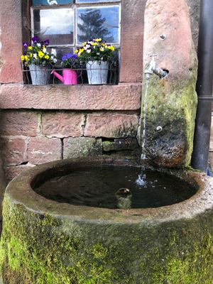 Brunnen