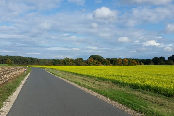 Weite Feldlandschaft mit abwechslungsreicher Natur und schönen Ausblicken.