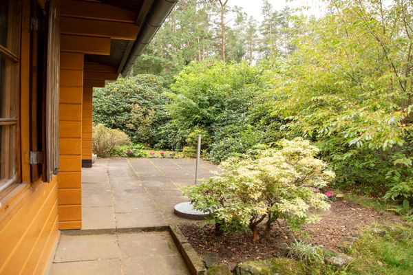 Garten mit gepflasterter Terrasse neben einem Holzhaus, umgeben von Sträuchern und Bäumen.