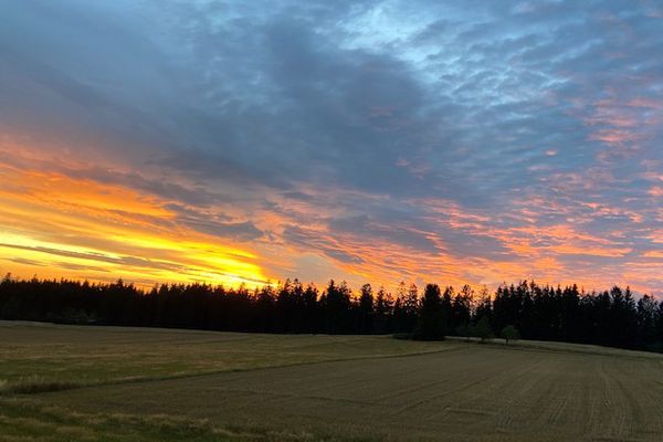 Sonnenuntergänge