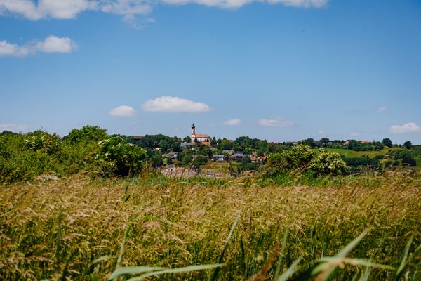 Radweg-der-Versunkenen-Schloesser_2021_original_Daxl-Eiglsperger_DSC_8744