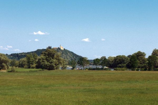 Im Vordergrund eine Wiese, dahinter hohe Bäume, in der Ferne erhebt sich der Bogenberg mit der Wallfahrtskirche.