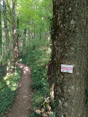 #1 Ultratrail Fränkische Schweiz