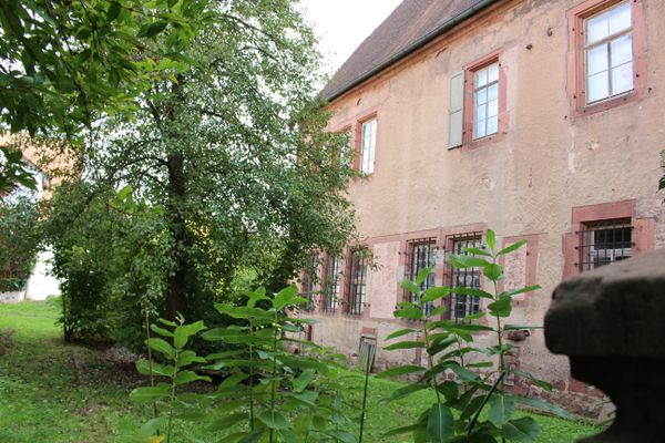 Mainzer Amtskellerei Amorbach