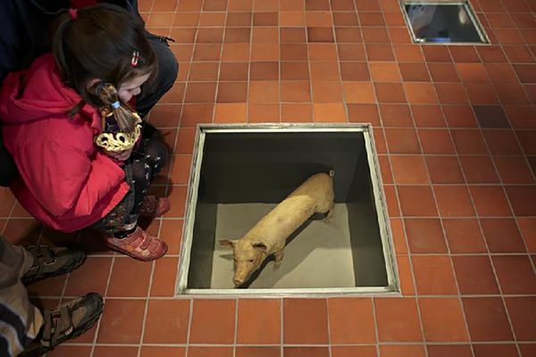 Blick in die Ausstellung des Museums im Spital Grünberg.