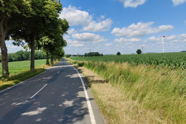 Gerade asphaltierte Landstraße mit Baumreihe links und Maisfeld rechts, Grasstreifen am Fahrbahnrand, weiter Himmel mit Wolken und Windrad in der Ferne bei Gerdau Richtung Stadorf.