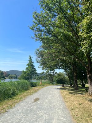 Auf dem Bild ist ein geschotterter Rundweg am Badesee Trebgast zu sehen.