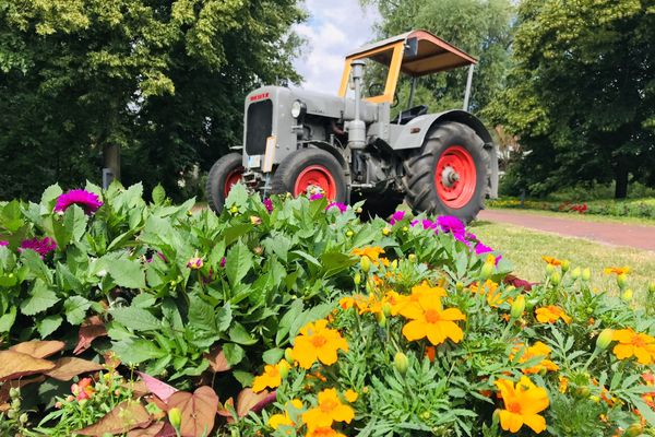 Deutz Trecker in Seitenansicht hinter einem blühenden Beet