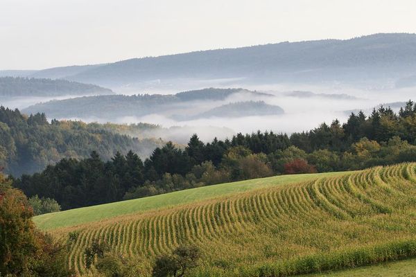 Idyllischer Blick auf Siedelsbrunn im Nebel