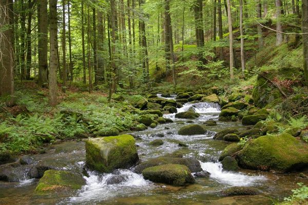 Wanderung "An den Wässern"