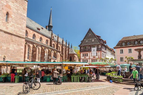 Bild des Datensatzes Marktfrühstück mit Live-Musik
