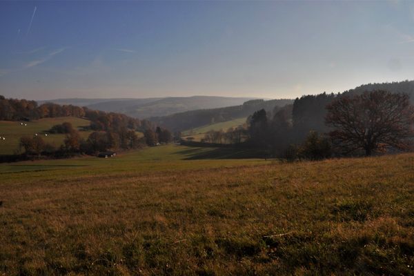 Spessartfährte Lohrhaupter Sonnenhänge in Flörsbachtal