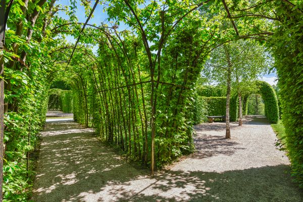 _MG_3029_HDR