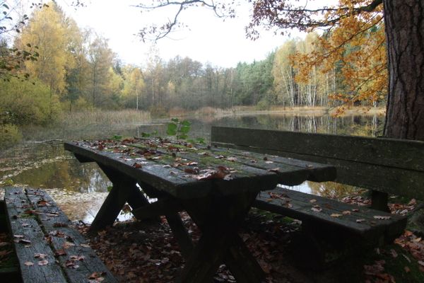 GER00020060879747854