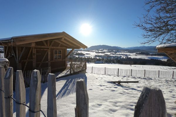 Schönegger Käsealm