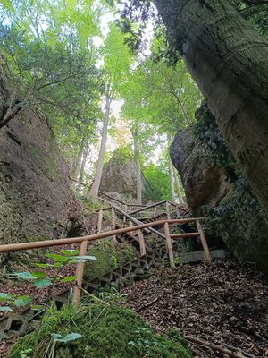 #1 Ultratrail Fränkische Schweiz