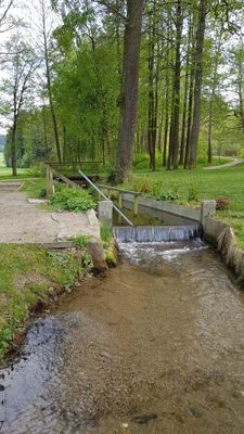 Kneippbecken im Kurpark