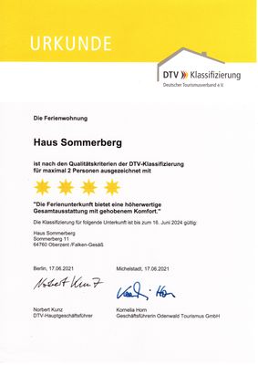 DTV-Klassifizierung