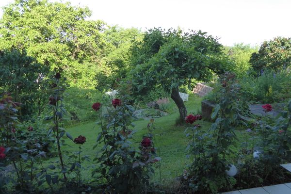 Garten