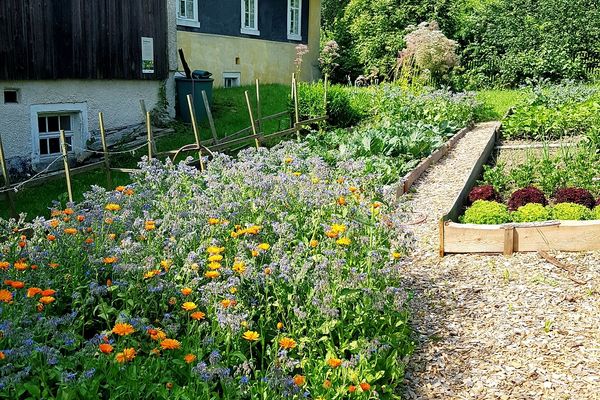Bauerngarten am Volkskundlichen Gerätemuseum Arzberg-Bergnersreuth